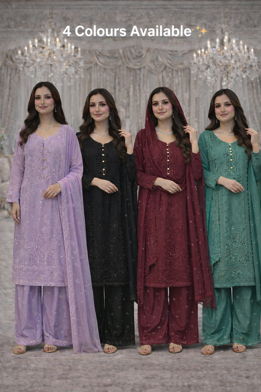 (237) Elegant Black Chiffon Suit | Mirror, Bead & Sequin Embroidery