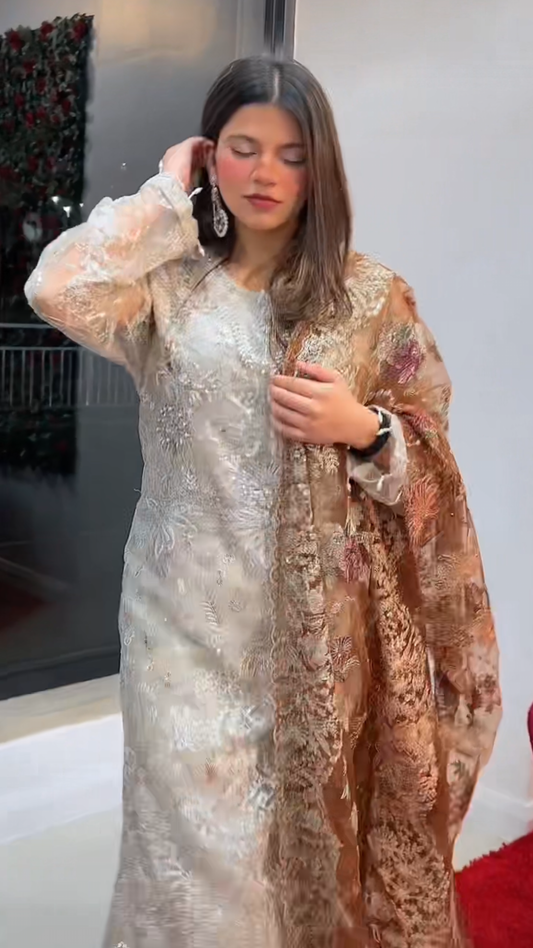 (90) Pakistani Embroidered Chiffon 3-Piece Suit & Contrasting Organza Dupatta